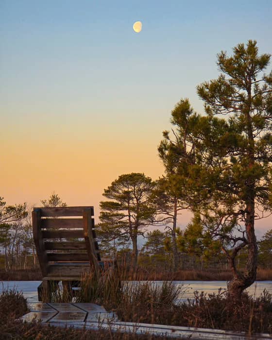 Head to the Great Kemeri Bog Trail and enjoy the peaceful