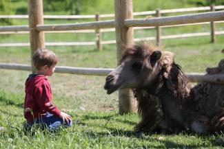 Siguldas zoo